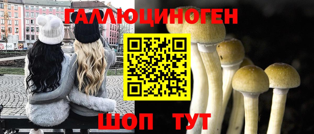 Усть-Илимск  Псилоцибиновые грибы Psilocybe  Вход с VPN 